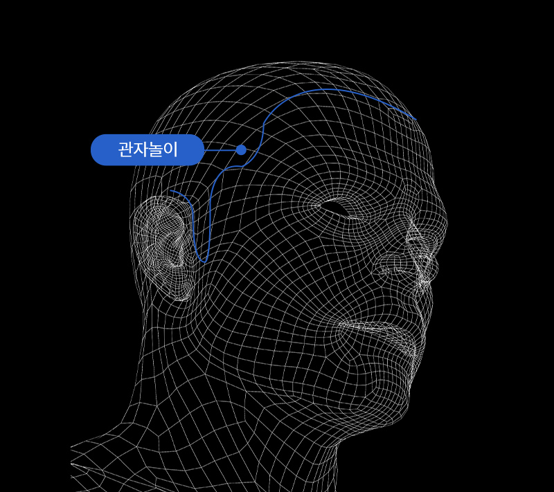 관자놀이와 헤어라인에 따른 얼굴 면적 비교